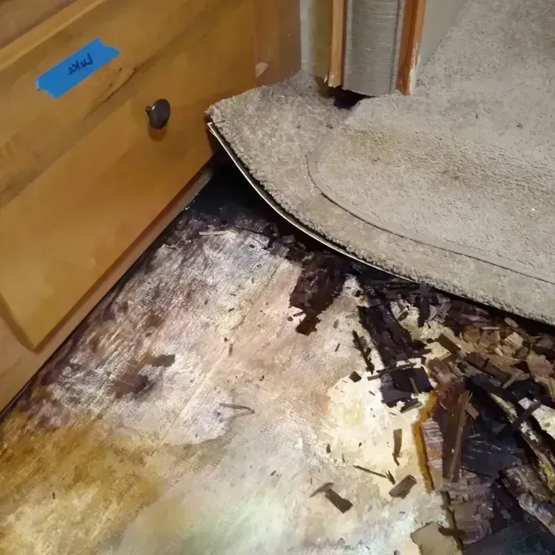 Wood Floor Water Damage in Ozaukee County, WI